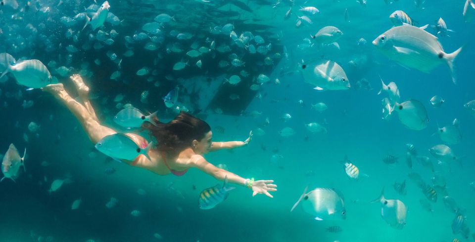 Full Day Ilha Grande - Saindo do Rio de Janeiro